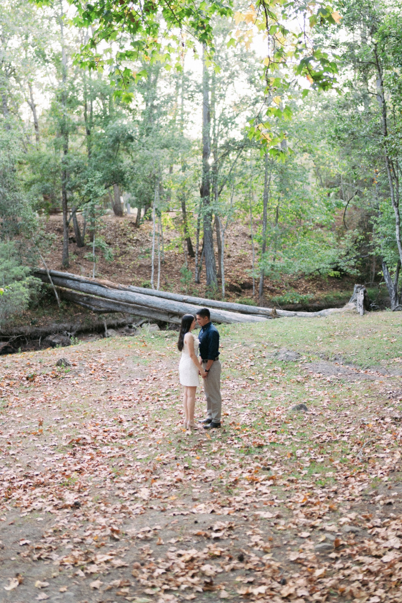 Ana y Dario frente a frente en un claro del bosque